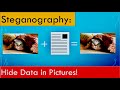 Steganography: Find hidden data in pictures and other files!