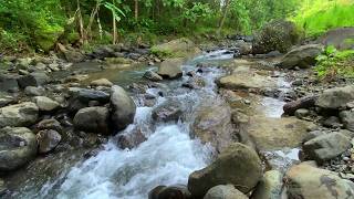 Relaxing River Sounds for Meditation and Stress Relief | Water Flow