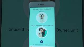 Buddy Dog Monitor app 🐶 #dogmonitor #petcam screenshot 2