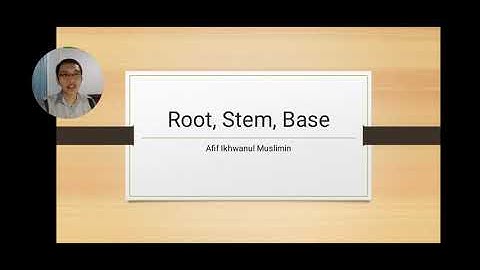 Morphology: Root, Stem, Base