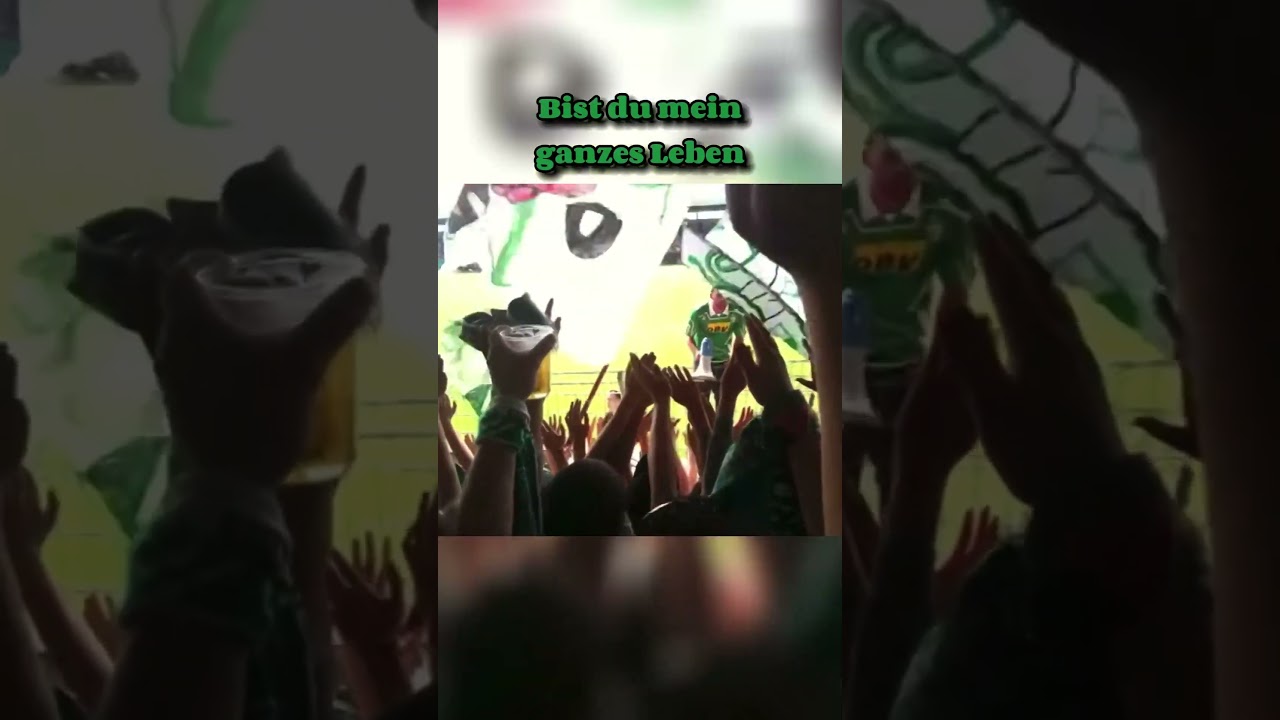 SV Werder Bremen Fans 