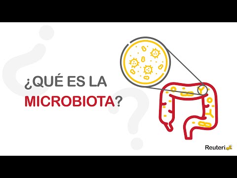 Ep.13 🔸 La microbiota del Mago More 