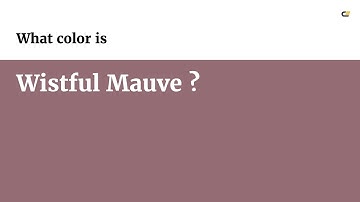 Wistful Mauve color #946c74 hex color - Violet color - Cool color 946c74