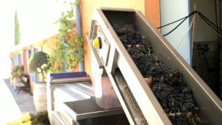 Domaine du Castel Winery- Petit Castel