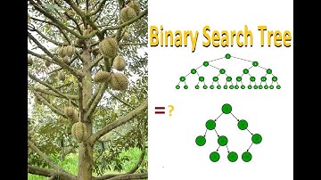 Animations: Build a Binary Search Tree & Binary Search Tree Traversals (Data Structure)