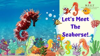 Let's Meet The Seahorse! Kindergarten Learning videos for Kids Marine Animals for kids