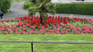 Out and about in Edinburgh August 2024