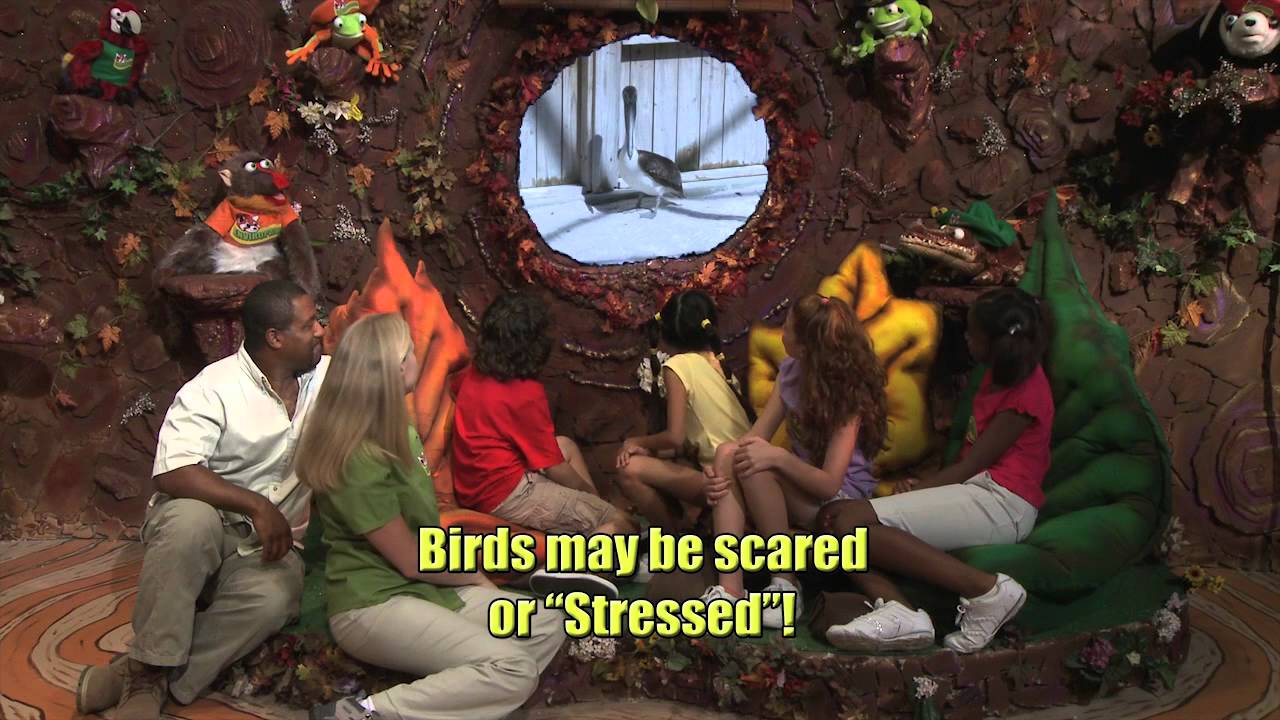 Mary Keller Seabird Rehabilitation Sanctuary, Ponce Inlet, Florida