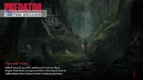 Look how fast this bot killed my predator in a custom game