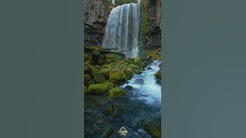 ﴿ إِنَّا نَخَافُ مِن رَّبِّنَا يَوْمًا عَبُوسًا قَمْطَرِيرًا﴾[ سورة الإنسان: 10]