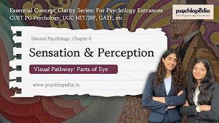 Sensation &amp; Perception I CUET PG Psychology Preparation I Essential Concept Clarity Series- Class 6