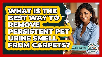 What Is The Best Way To Remove Persistent Pet Urine Smell From Carpets? - Homekeeping Handbook