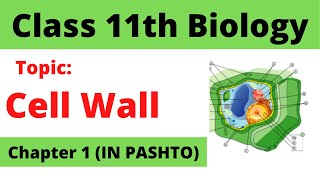 Lecture 10 Fsc Biology In Pashto Home Of Biology