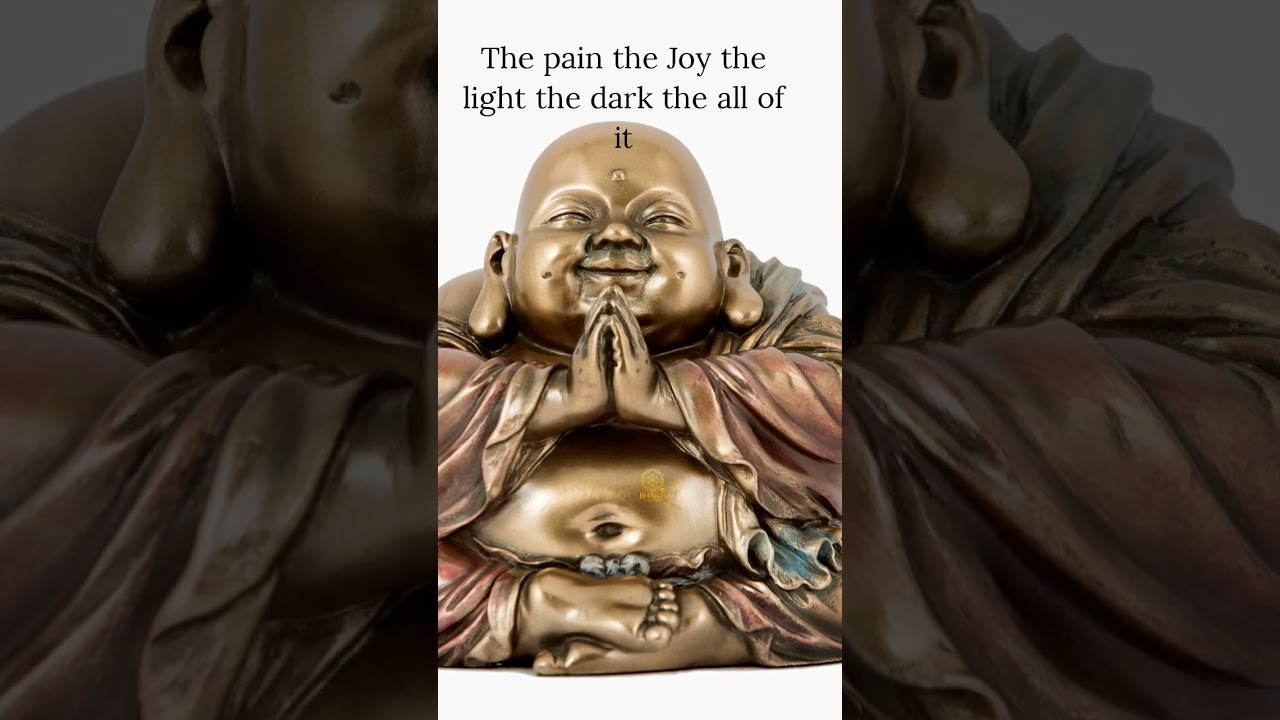 Mindfulness Duality Mind Vs Peace.