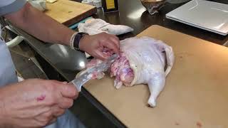 How to : Deboning A Whole Chicken, Without Cutting The Skin