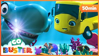 Buster Meets Jaws! 🦈 | Go Learn With Buster | Videos for Kids