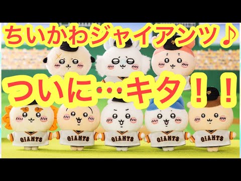 ちいかわ】ちいかわジャイアンツコラボ！！熱いグッズが盛りだくさん