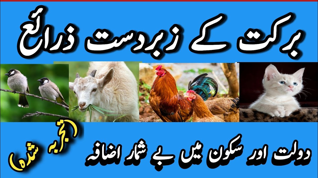 Success in life | Dolat ko kaise zayada kerain | How to increase wealth | peace and calm |