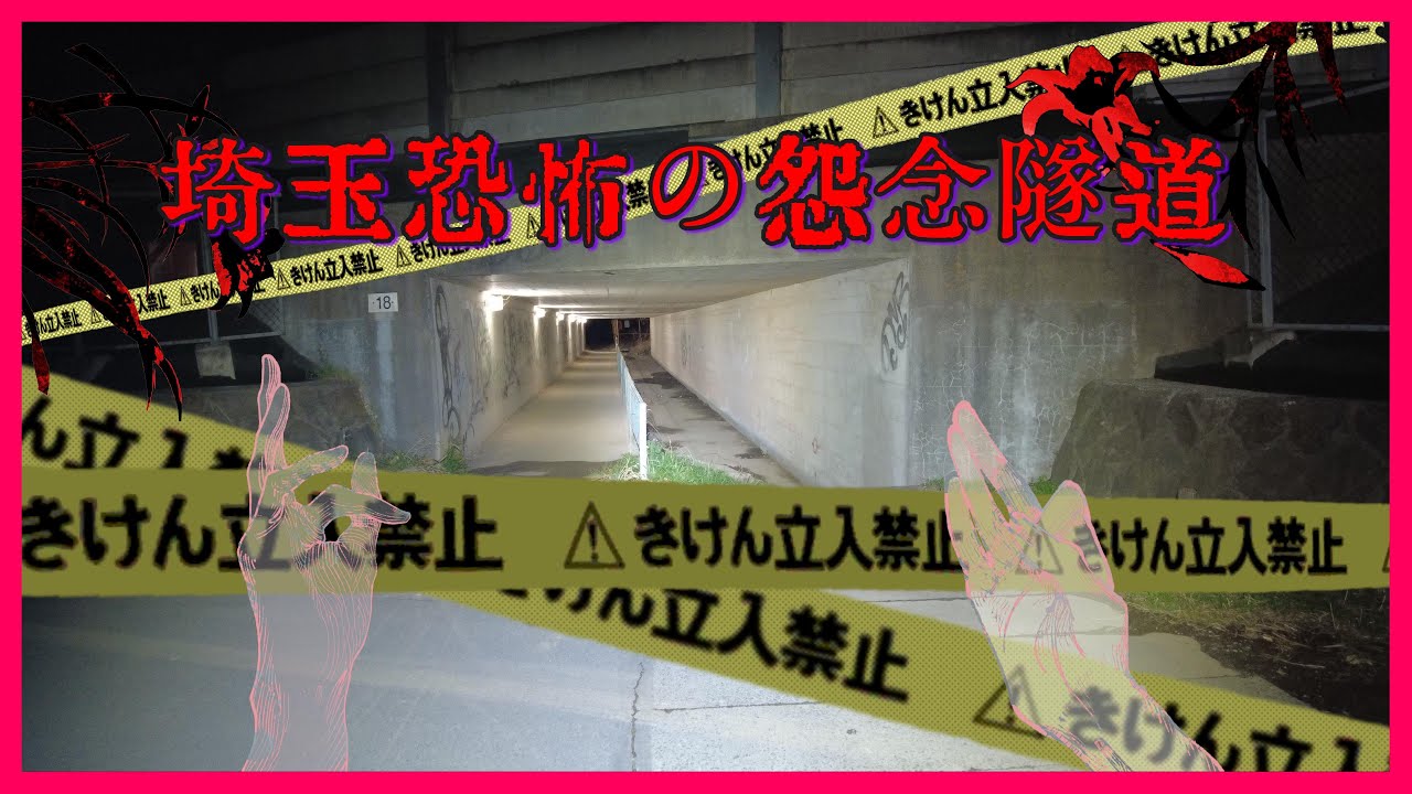 埼玉県心霊スポット　所沢２１ガード下