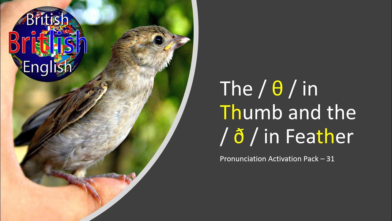 ⁣Improve Your British English Pronunciation - The / θ / in Thumb and the / ð / in Feather