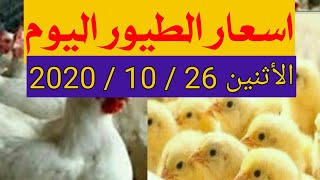 سعر الدواجن و الفراخ البيضاء من بورصة الدواجن اليوم الأثنين 26 / 10 / 2020