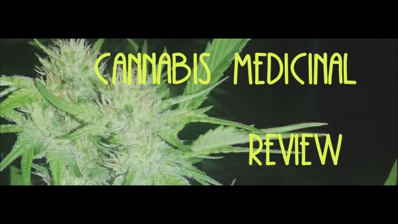 Strain review: Pre-98 Bubba kush: house of dank