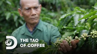 Trung Nguyen Legend: The Tao of Coffee | G7 Coffee | Discovery Channel Southeast Asia