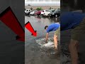¡Este pequeño salvó el estacionamiento! #curioso #increíble #interesante