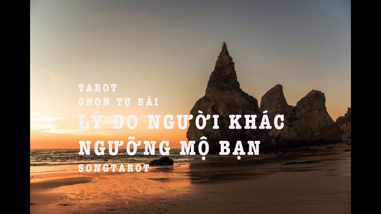 tarot: chọn tụ bài: lý do người khác ngưỡng mộ bạn