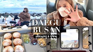  daegu & busan vlog. ไปบ้านเพื่อนสนิทที่แทกู/นั่ง sky capsule ที่ปูซาน/คาเฟ่วิวสวยมาก! | Babyjingko