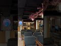 #gamenightvibes at the Akiba Cafe #gaming #shortvideo #viral #anime #vlog #vibeswithgamer #gojo