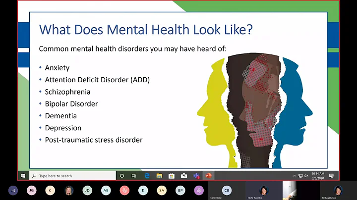 Mental Health System 101 Webinar