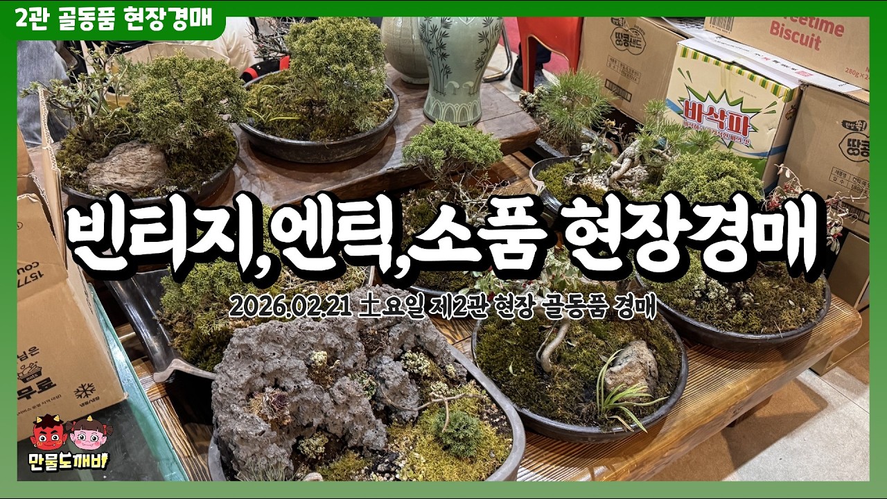 👹토요일 빈티지,엔틱,소품 현장경매 - 도깨비경매잔 2관 (2026.02.21 土요일 제2관 현장 골동품경매 풀버전)