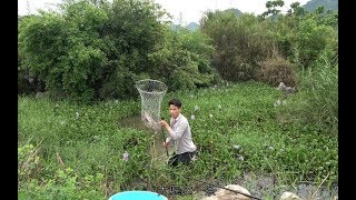 荒废鱼塘钓鱼突然一个猛口劲太大拉不上来小莫赶紧下水捞鱼王