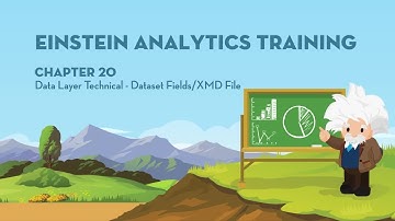 20 - Dataset Fields/XMD File - Einstein Analytics