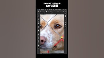 How to easily remove fence in Photoshop #removefence #designtutorial #photoshoptutorialforbeginners