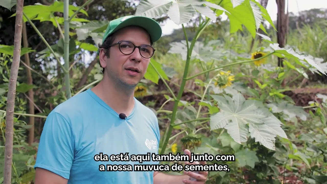 Semeadura direta e restauração florestal