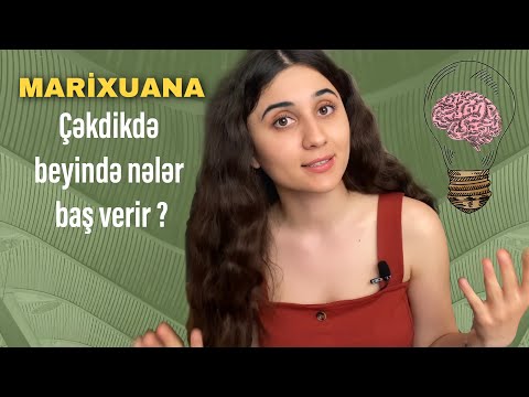 MARİXUANA haqqında gerçəklər. Marixuana beyinə necə təsir edir? Nəşə aslılıq yaradır? Elmi araşdırma