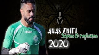 Anas Zniti ● Best Saves  ( The Spider - 2020 )  أفضل تصديات أنس الزنيتي