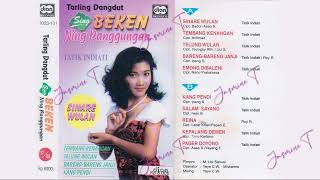 Tatik Indiati Sinare Wulan Full Album