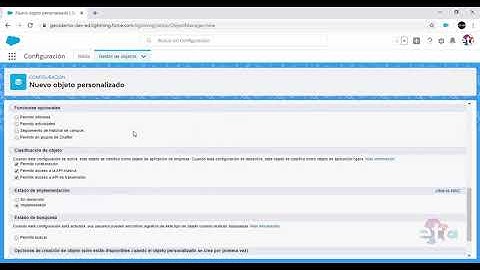 Salesforce - Creación de objetos personalizados