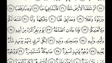 سورة عبس القارئ تميم الريمي