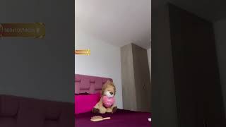 Pamela live video sexy lady