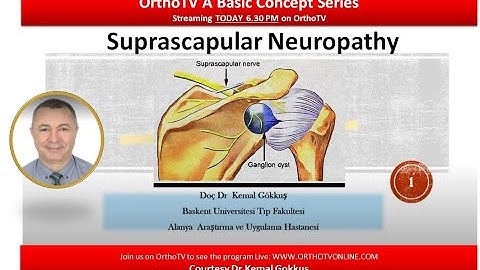 Basic Concept Lecture: Suprascapular Neuropathy by Dr Kemal Gokkus
