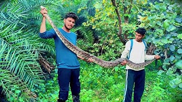 9 fit Indian rock python release 🥰  #snakerescue #youtube #viralvideo #snake #snakevideo #rescue