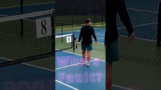 Who's Fault is it? #pickleball #blameless #blamegame #deflection #psychology