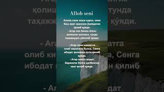 Alloh seni yaxshi koʻrsa #rek #love #mehr #sabr #duo #quotes #dosa