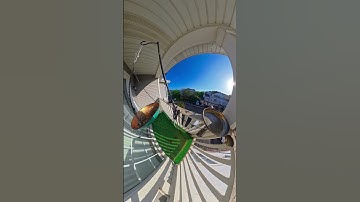 #music #electronicmusic #birds #birdfeeding #birdwatching #birdfood