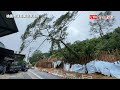 快改道！桃園龜山大坑路土石崩坍 樹倒壓電線封路