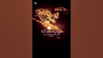 سورة التوبة {الآية 25} بصوت الشيخ أبو بكر الشاطري ❤️❤️